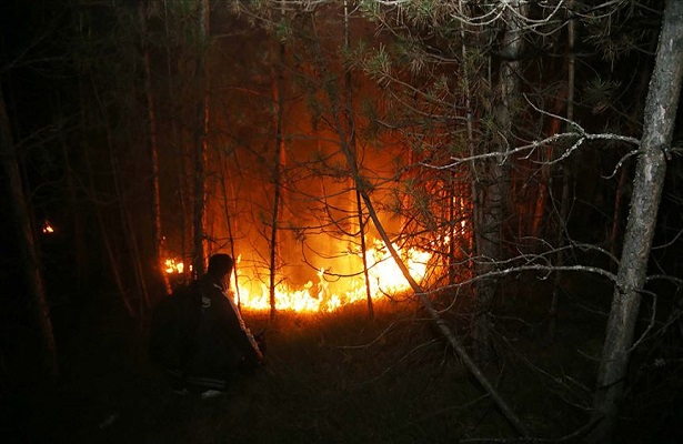 Kastamonu’da ormanlık alanda çıkan yangın kontrol altına alındı