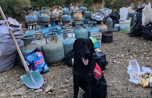 Bingöl’de PKK’lı teröristlerin kullandığı 4 odalı sığınakta patlayıcı ele geçirildi