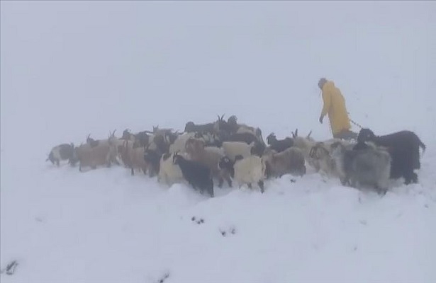 Van’da etkili olan kar, çobanlara zor anlar yaşattı