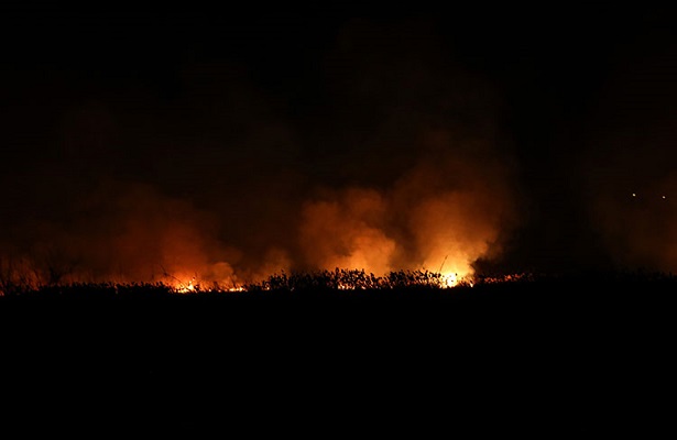 Bursa’da sazlık yangını