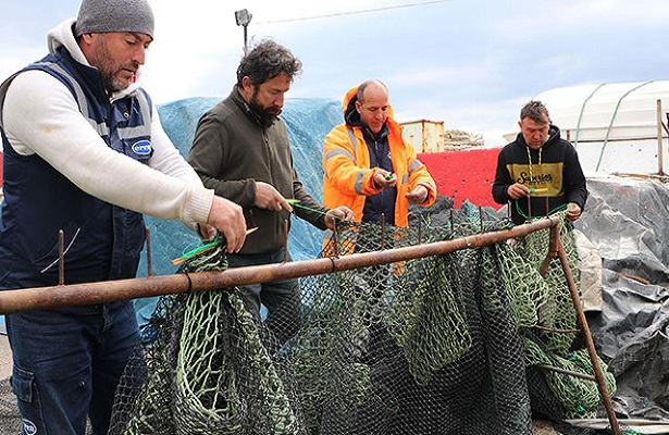 Tekirdağlı balıkçılar deniz salyası nedeniyle av sezonunu erken kapattı