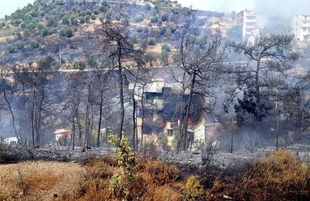 İzmir’de zeytinlik alanda çıkan yangın söndürüldü