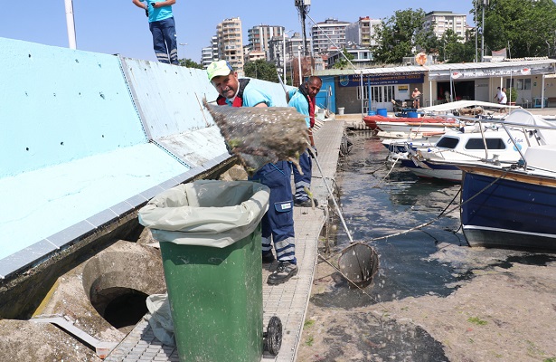 Caddebostan sahilindeki müsilaj yoğunluğu azaldı