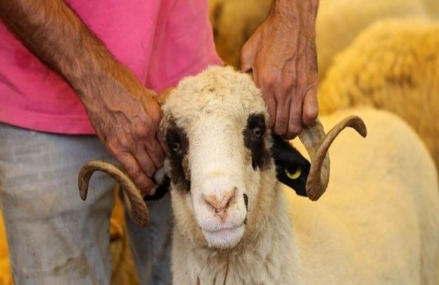 Kurban Bayramı’nın ilk günü 20 Temmuz Salı idrak edilecek