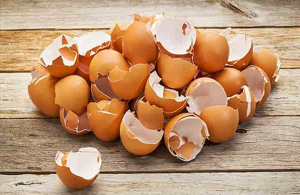 Yumurta Kabuğundaki Mucizeler – Yumurta kabuğu tozu-eggshell miracle – cimenhulya