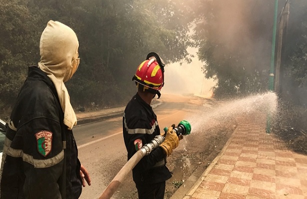 Cezayir Cumhurbaşkanı Tebbun, orman yangınları ile ilgili 22 şüphelinin gözaltına alındığını bildirdi