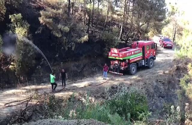 Aydın’daki orman yangınına havadan ve karadan müdahale ediliyor