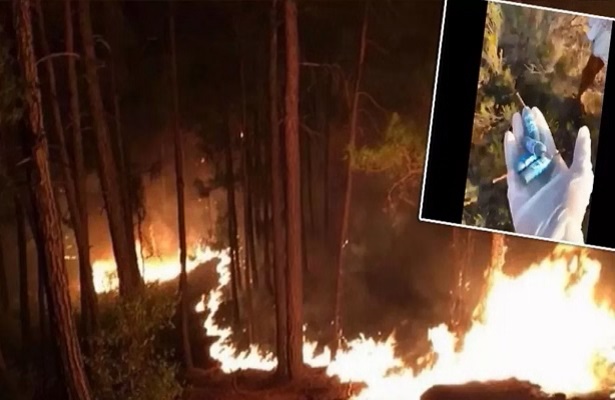 Muğla’da ormanlık alanda onlarca patlamamış torpil bulundu!