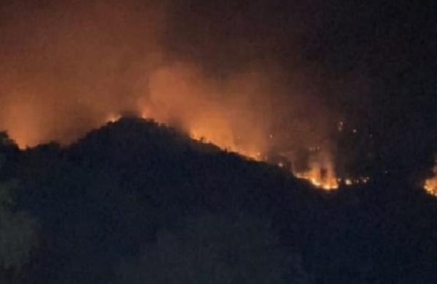 Tunceli’de örtü yangınları kontrol altına alındı