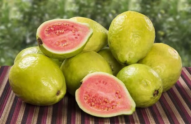 GUAVA NIN FAYDALARI