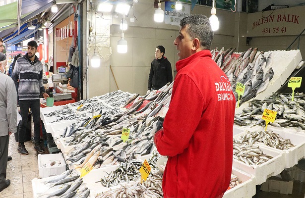 Karadeniz’de bu yıl hamsi güldürdü palamut üzdü