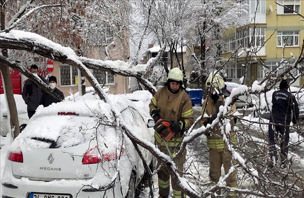 İstanbul’da ağaçlar devrildi