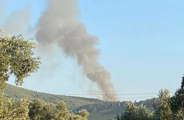 Muğla’da korkutan orman yangını