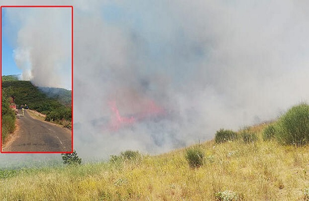 Şarköy’de makilik yangını; 5 hektar yandı