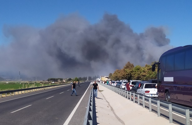 İzmir Dikili’deki orman yangını kontrol altına alındı