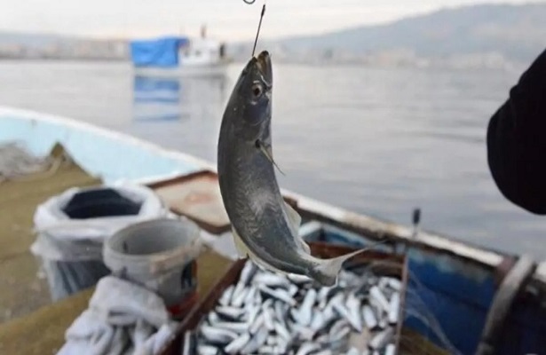 Bu gece itibariyle balık avı sezonu başlıyor