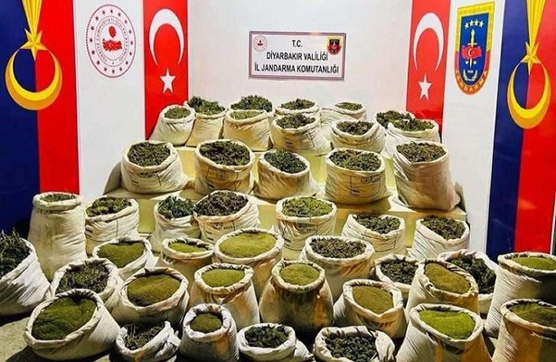 Diyarbakır’da iki ayda 27 milyon kök kenevir bitkisi ele geçirildi