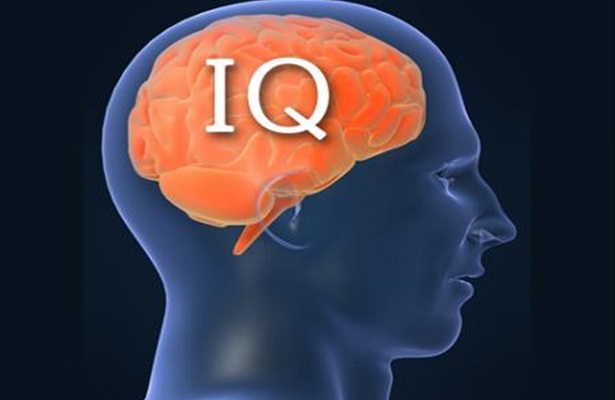 IQ nedir?
