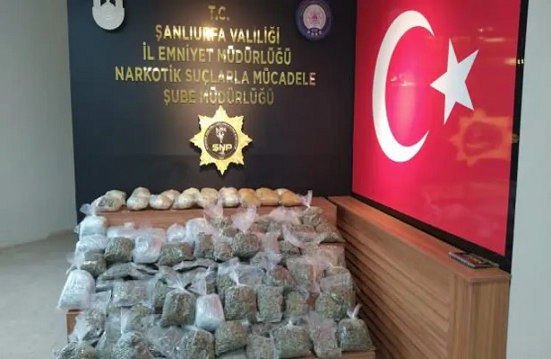 Şanlıurfa’da 74 kilo 800 gram skunk ele geçirildi