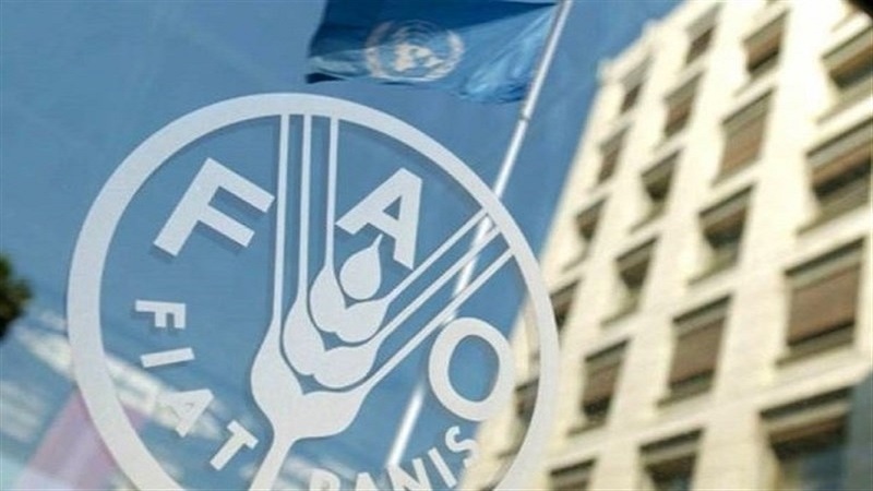 Dünya Gıda ve Tarım Örgütü (FAO): İran’ın tahıl üretimi bu yıl 20 milyon tonu geçecek