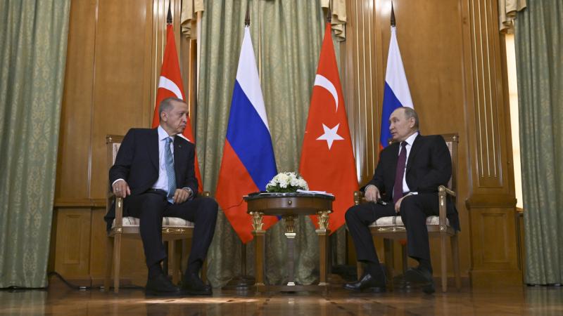 Putin’den Soçi’deki zirvede “yerli para birimi” vurgusu: Kararlılığımızı sunduk