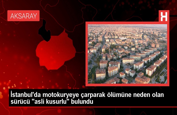 Somali Cumhurbaşkanı Hasan Şeyh Mahmud’un oğlu “asli kusurlu” bulundu