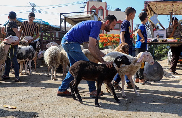 Gazze’de Kurban Bayramı Savaşın Gölgesinde Geçirilecek/Video