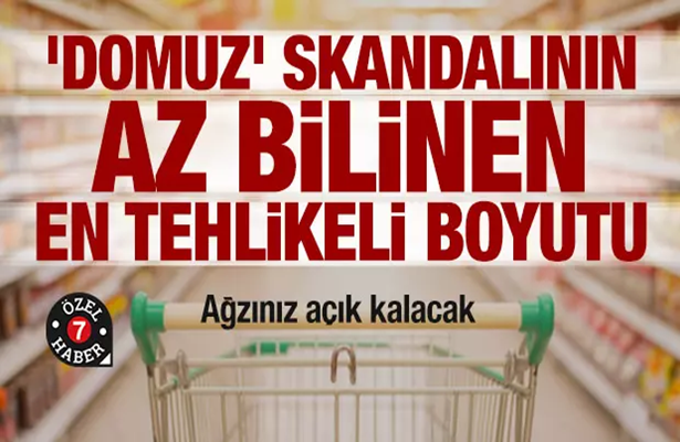 ‘Domuz’ skandalının az bilinen en tehlikeli boyutu: Jelatin!